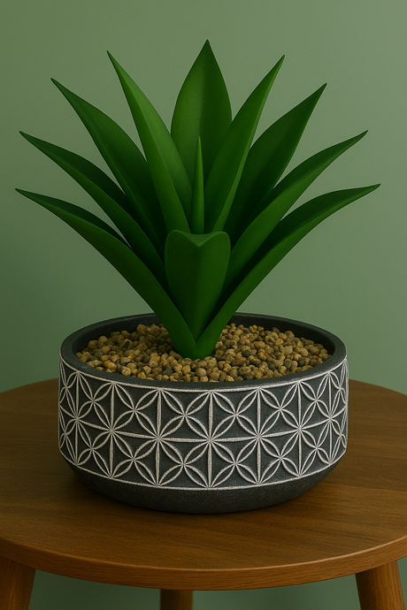 Plant Pot Flowers Cactus Colored Green Plant in a Silver / black Pot