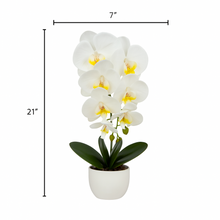 Plant Pot White Artificial Orchid Flower Pot Floral Real Look Plant Real Touch with White Ceramic Flower Planter