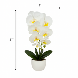 Plant Pot White Artificial Orchid Flower Pot Floral Real Look Plant Real Touch with White Ceramic Flower Planter
