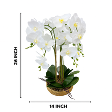 Plant Pot 26" INCH Tall | x-Large White Artificial Orchid Flower Gold Plant Pot Floral Real Look Plant Real Touch White Flower Ceramic Planter