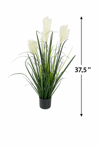 3 Feet Artificial Pampas Grass Tree – 37.5" INCH Indoor/Outdoor White Pampas Grass with Long Slender Green Leaves | Plant with Real Touch Look in Black Pot – Home, Office, Patio and Garden Décor