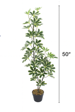 4.3 Feet Artificial Schefflera Arboricola Tree – 50" INCH Indoor/Outdoor White and Green Leaves | Dwarf Umbrella Plant with Real Touch and Look in Black Pot – Home, Office, Patio and Garden Décor