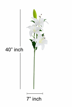 40" INCH Large Artificial Lily Flowers with Fruit – Realistic WHITE Lilies Decorative Long Lily Flower Stem – Faux Floral Stem for Vases, Bouquets, Wedding Centrepieces, and DIY Home Decor
