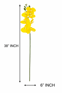 38" INCH Large Artificial Phalaenopsis Orchid Flowers – Realistic YELLOW Orchids Decorative Long Flower Stem – Faux Floral Stem for Vases, Bouquets, Wedding Centrepieces, and DIY Home Decor
