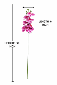 38" INCH Large Artificial Phalaenopsis Orchid Flowers – Realistic DEEP PINK with White Tip Orchids Decorative Long Flower Stem – Faux Floral Stem for Vases, Bouquets, Wedding Centrepieces, and DIY Home Decor