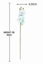 38" INCH Large Artificial Phalaenopsis Orchid Flowers – Realistic WHITE Orchids Decorative Long Flower Stem – Faux Floral Stem for Vases, Bouquets, Wedding Centrepieces, and DIY Home Decor