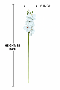 38" INCH Large Artificial Phalaenopsis Orchid Flowers – Realistic WHITE Orchids Decorative Long Flower Stem – Faux Floral Stem for Vases, Bouquets, Wedding Centrepieces, and DIY Home Decor
