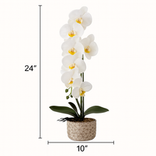 Plant Pot White and Green Artificial Orchid Flower Pot Floral Real Look Plant Real Touch with Grey Ceramic Flower Planter