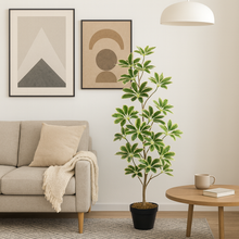 4.3 Feet Artificial Schefflera Arboricola Tree – 50" INCH Indoor/Outdoor White and Green Leaves | Dwarf Umbrella Plant with Real Touch and Look in Black Pot – Home, Office, Patio and Garden Décor