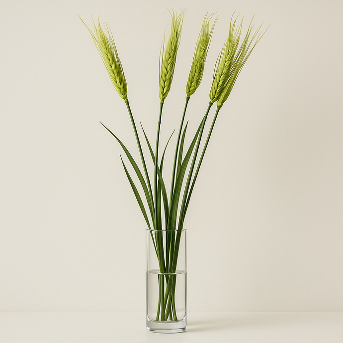 One Long Stem Artificial Wheat Stem in Green OR Yellow Wheat Flower for Home Decor, Vases, Wedding Decor, Events