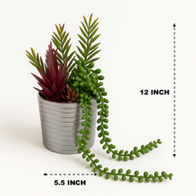 12" Artificial Plant in Silver Ceramic Pot | Succulent Arrangement with String of Pearls in Silver Pot – Modern Faux Plant for Home and Office Decor