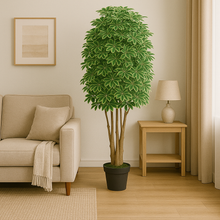 Artificial Schefflera Tree 5.5 Feet Tall – Indoor/Outdoor Faux Plant for Home or Office Decor – Realistic Large Green Tree with Pot – Low Maintenance Plastic Plant for Living Room, Bedroom, Entryway