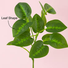Artificial Calathea Houseplant Flower Bunch – 16” INCH Realistic Green Stems Decorative Leaf Bunch – Faux Leaves for Vases, Bouquets, Wedding Centrepieces, and DIY Home Decor