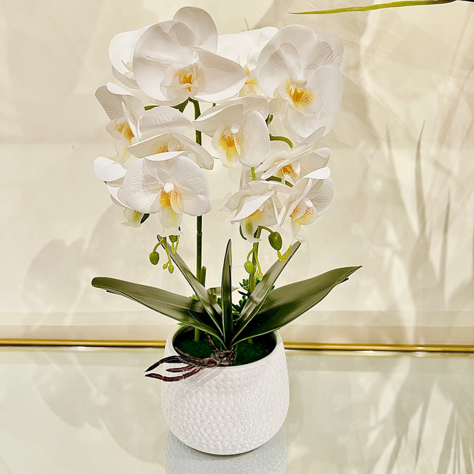 Plant Pot White Artificial Orchid Flower Pot Floral Real Look Plant Real Touch with White Ceramic Flower Planter
