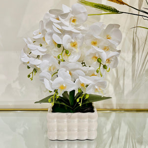 Plant Pot White Artificial Orchid Flower Pot Floral Real Look Plant Real Touch with off-White Ceramic Flower Planter