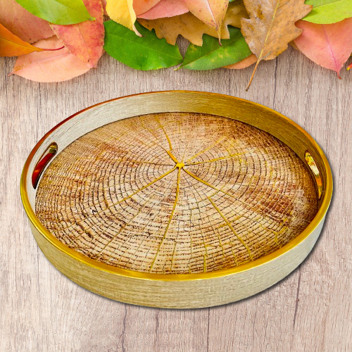 Tray Round Multi Colour Acrylic and Resin Serving Tray Storage Tray Available in TWO SIZES Home Decoration Bathroom Decor Geometric Design Living Room Display Tray