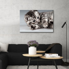 High Quality Art Print on Stretched Canvas of Cat