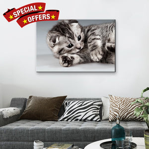 High Quality Art Print on Stretched Canvas of Cat