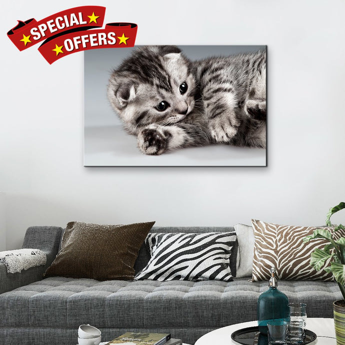 High Quality Art Print on Stretched Canvas of Cat