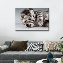 High Quality Art Print on Stretched Canvas of Cat