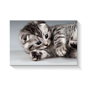 High Quality Art Print on Stretched Canvas of Cat
