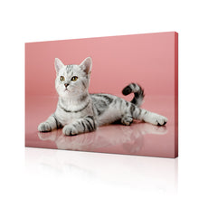 High Quality Art Print on Stretched Canvas of Cat