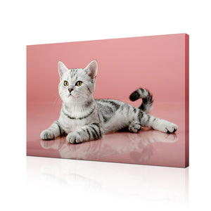 High Quality Art Print on Stretched Canvas of Cat