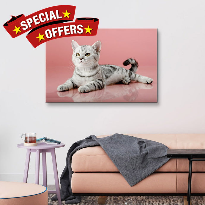 High Quality Art Print on Stretched Canvas of Cat