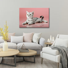 High Quality Art Print on Stretched Canvas of Cat