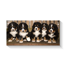 High Quality Art Print on Stretched Canvas of Puppies