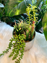 Flowers Artificial Plant in a Silver Pot