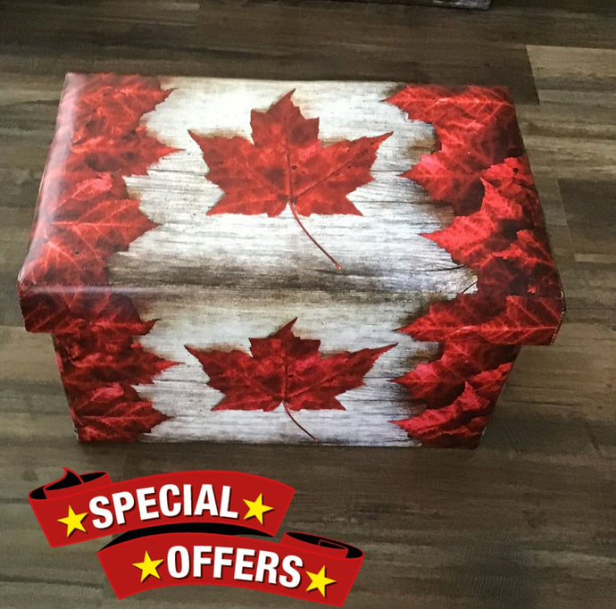 Premium PU Leather Medium Ottoman with Storage