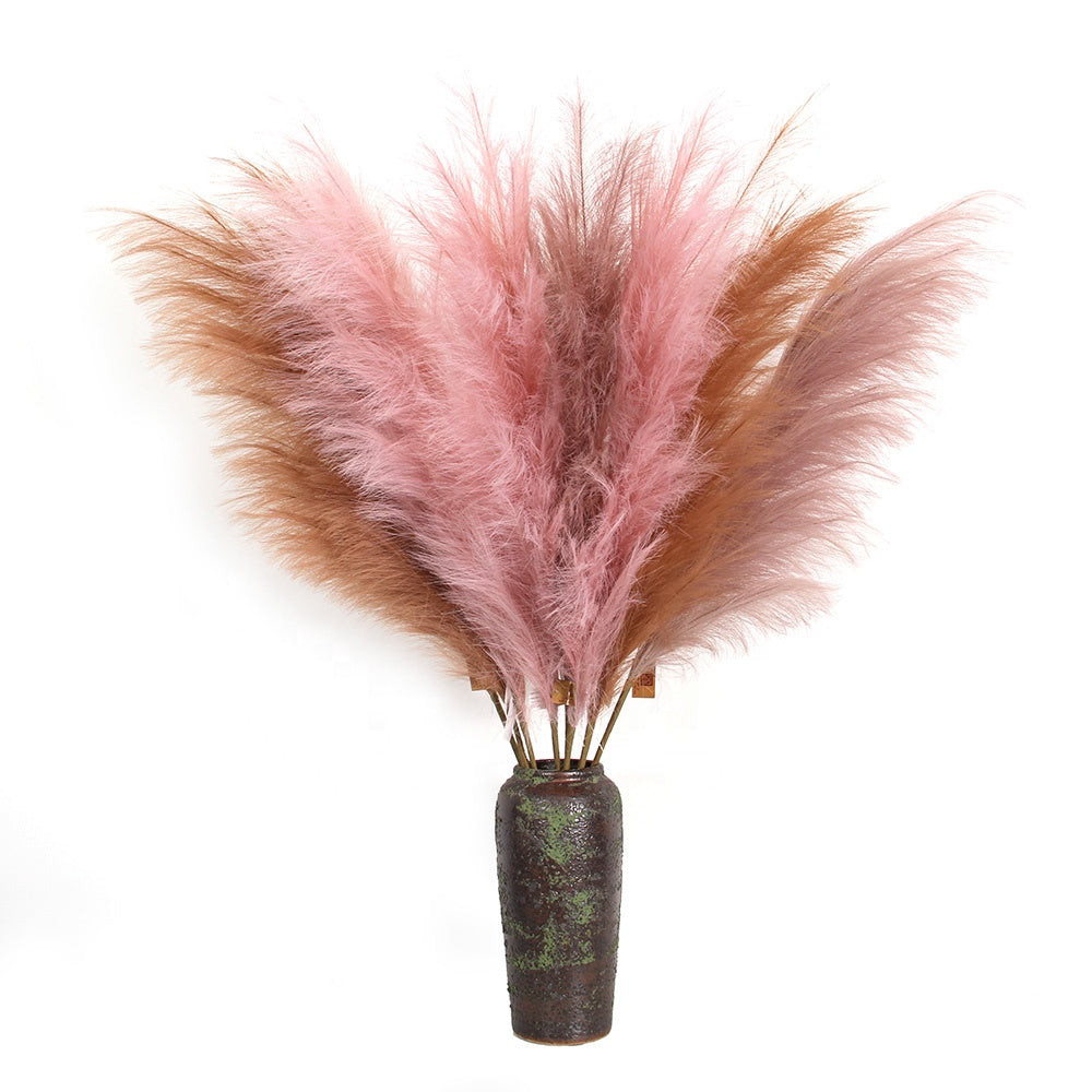 pampa grass