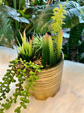 Flowers Artificial Plant Colored in a Gold Pot